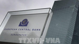 Quan chức ECB ủng hộ tăng lãi suất thêm 50 điểm cơ bản tại cuộc họp tháng 12