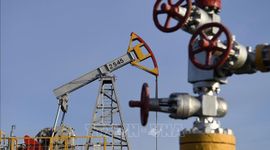 Xuất khẩu dầu của Nga giảm mạnh sau lệnh áp giá trần của phương Tây