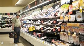 Kinh tế Mỹ suy thoái ảnh hưởng lớn đến các nền kinh tế đang phát triển