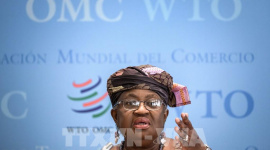 Tổng giám đốc WTO: Kinh tế thế giới trên đà suy thoái
