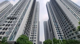 Giá chung cư năm qua đã tăng tới 15%, mức giá trung bình đạt 47 triệu đồng/m2