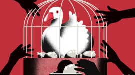 Ngân hàng Trung ương thua lỗ không phải vấn đề đáng lo