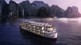 Việt Nam đang có bao nhiêu người sở hữu tài sản trên 1.000 tỷ đồng?