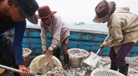 Lao động nhập cư bị tước hộ chiếu, làm việc 20 tiếng/ngày, cuộc sống như "địa ngục" giữa biển khơi