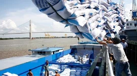 Indonesia muốn mua thêm gạo vụ Đông Xuân của Việt Nam