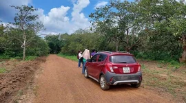 Dự báo thời điểm cơn "sốt đất" có thể quay trở lại thị trường địa ốc?