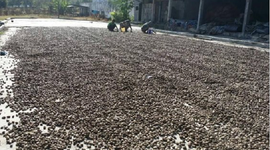 "Kho vàng tỷ đô" được gần 1/2 thế giới ưa chuộng: Mỹ, Trung Quốc mạnh tay săn lùng, Việt Nam thống trị nguồn cung toàn cầu