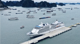 Vốn FDI thực hiện 11 tháng đạt 20,25 tỷ USD