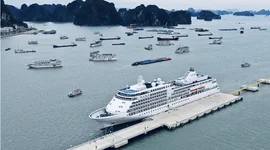 Vốn FDI thực hiện 11 tháng đạt 20,25 tỷ USD
