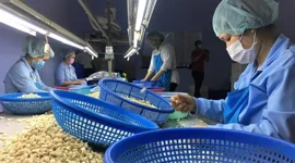 Làm gì để xúc tiến thương mại hiệu quả vào thị trường Đức?