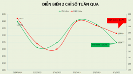 Khối ngoại có tuần bán ròng thứ 4 của năm 2023, VN-Index lùi về gần 1.000 điểm