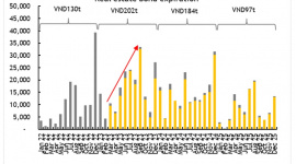 MSVN dự báo sẽ có thêm nhiều công ty không đáp ứng nghĩa vụ trái phiếu thời gian tới
