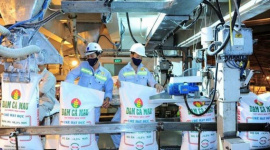 Đạm Cà Mau và Đạm Phú Mỹ đang hoạt động thế nào trước đề xuất ngừng toàn bộ nhà máy nhường khí cho sản xuất điện