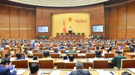 Quốc hội bổ nhiệm và phê chuẩn tân Chủ nhiệm Ủy ban Tài chính - Ngân sách và Bộ trưởng Bộ Tài nguyên và Môi trường