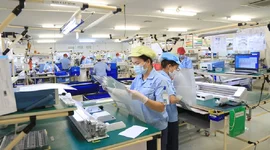 Doanh nghiệp thành lập mới tháng 5 giảm mạnh cả về lượng và vốn so với tháng 4
