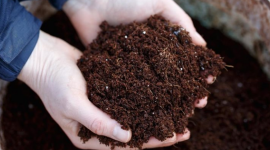 Mặt hàng này của Nga ồ ạt vào Việt Nam, nhập khẩu tăng gần 500% trong tháng 5, là mặt hàng Nga xuất khẩu đầu thế giới