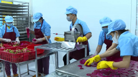 Thống đốc lý giải vì sao doanh nghiệp khó tiếp cận vốn trong khi thanh khoản dư thừa