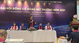 Khởi tố vụ án thao túng cổ phiếu APS, API, IDJ