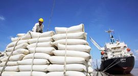 Lệnh cấm xuất khẩu gạo của các nước khiến giá lúa, gạo tăng “thẳng đứng”