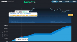 Nhiều mã trên HNX bất ngờ được "cởi trói", HNX-Index tăng hơn 2%