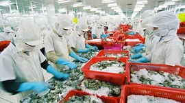 Đơn hàng sụt giảm kéo lợi nhuận doanh nghiệp thủy sản "đi lùi", tồn kho tăng mạnh