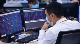 Bất ngờ: Doanh thu môi giới chứng khoán sụt giảm trong quý 4, nhưng dư nợ margin toàn thị trường lại tăng mạnh