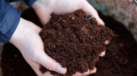 Nga bất ngờ tăng xuất khẩu một mặt hàng đến Việt Nam hơn 500%, giá rẻ cực hấp dẫn