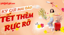 Đưa Xuân đi khắp mọi miền với dịch vụ vận chuyển mai, đào của Vietjet dịp Tết 2024