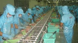 Xuất khẩu thủy sản sẽ đạt 9,5 tỷ USD trong năm nay