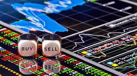 Pyn Elite Fund chi trăm tỷ đồng mua cổ phiếu NTL, Đầu tư Dịch vụ Hoàng Huy có cổ đông lớn mới