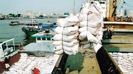Nhập khẩu gạo của Philippines dự báo đạt 4,7 triệu tấn trong năm nay