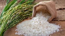 Ấn Độ bãi bỏ thuế xuất khẩu gạo đồ, giá gạo thế giới có thể giảm thêm nữa