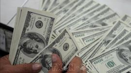 Các tập đoàn Nhật Bản đầu tư 3,3 tỷ USD để phát triển xe tự lái sử dụng AI