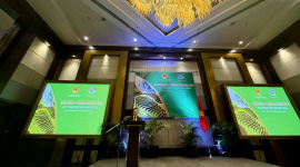 Philippines là đối tác thương mại gạo quan trọng nhất của Việt Nam