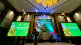 Philippines là đối tác thương mại gạo quan trọng nhất của Việt Nam