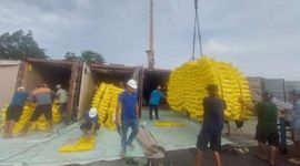 Pakistan muốn tăng xuất khẩu vào Philippines, thị phần gạo Việt có bị ảnh hưởng?