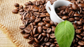 Không phải Trung Nguyên của ông Đặng Lê Nguyên Vũ, "ông vua" xuất khẩu cà phê Việt Nam là ai?