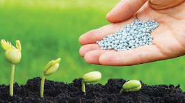 Những doanh nghiệp sẽ được hưởng lợi khi phân bón chính thức chịu thuế VAT 5%