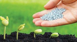 Những doanh nghiệp sẽ được hưởng lợi khi phân bón chính thức chịu thuế VAT 5%