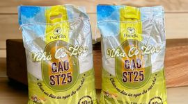 ST25 của Việt Nam được ưa chuộng tại nhiều thị trường