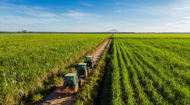 “Làn gió mới” tại TTC AgriS