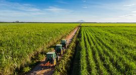 “Làn gió mới” tại TTC AgriS