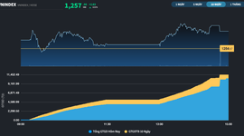 Thị trường xuất hiện sóng Midcap và Penny