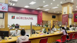 Tăng trưởng tín dụng của Agribank đạt trên 9%