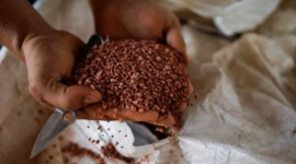 Giá cực rẻ, mặt hàng này từ Thái Lan về Việt Nam tăng gấp 3 lần, là cứu tinh giúp Việt Nam 'hốt bạc' từ Trung Quốc