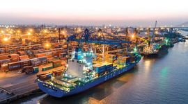 Lợi nhuận gộp năm 2023 của Cảng Đình Vũ đạt 227 tỷ đồng, giảm 26,7% so với năm 2022