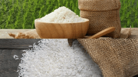 Diễn biến bất thường trên thị trường gạo thế giới sẽ còn tiếp diễn