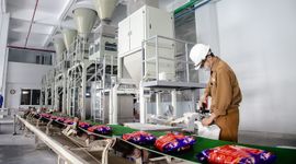 Lợi nhuận của Hóa chất Đức Giang xuống đáy 10 quý
