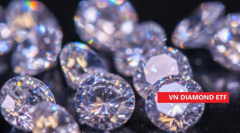 Thêm một công ty chứng khoán dự báo MWG bị loại khỏi VNDiamond