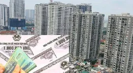 Hậu phát hành 2.300 tỷ đồng trái phiếu, một doanh nghiệp địa ốc tại TP.HCM báo lỗ kỷ lục